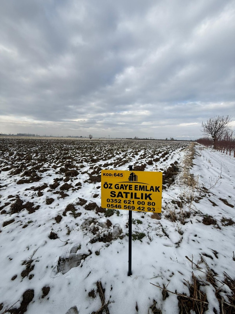 KAYSERİ DEVELİ GAZİKÖY MAHALLESİ KARAYER MEVKİİNDE SATILIK TARLA